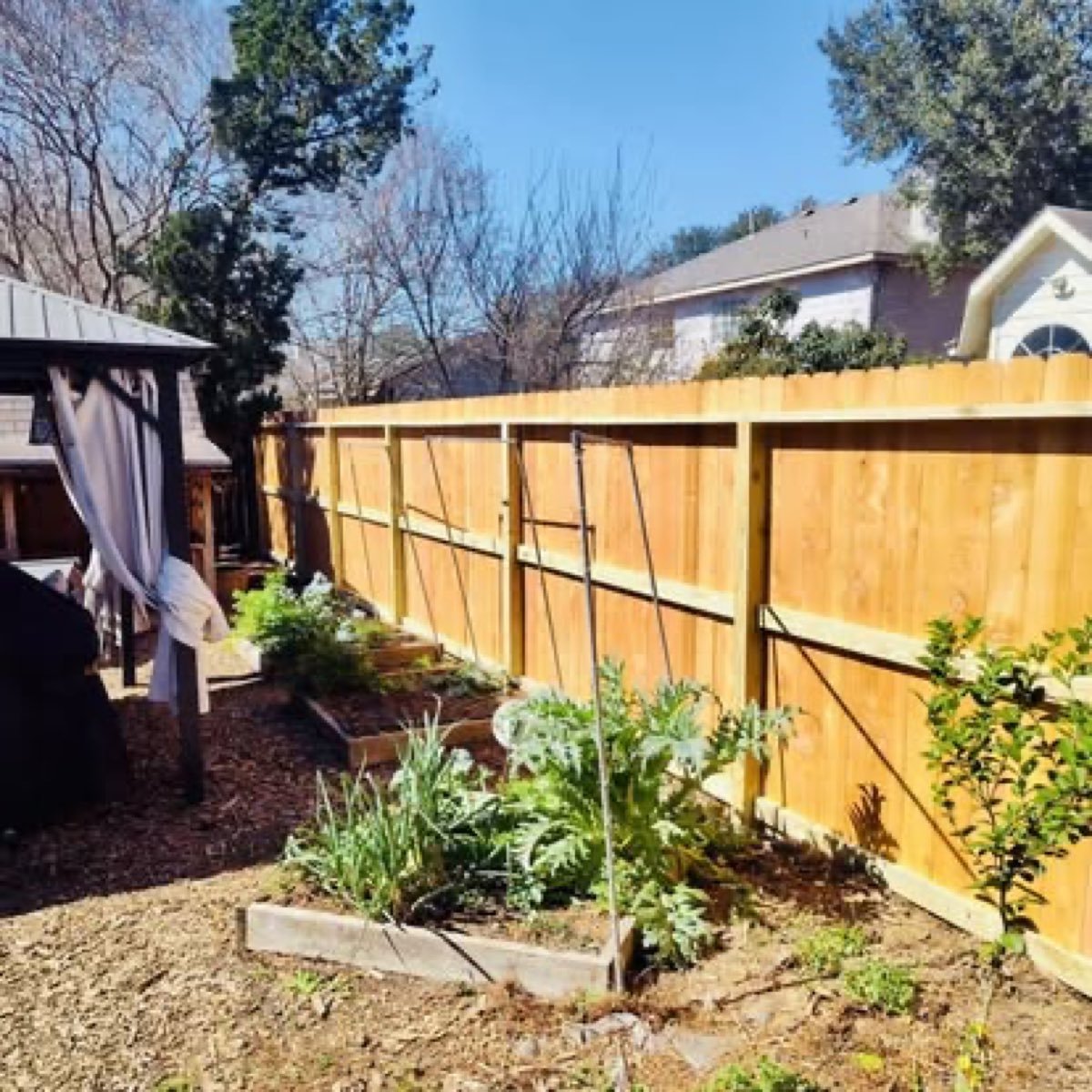 Backyard wood privacy fence around a garden