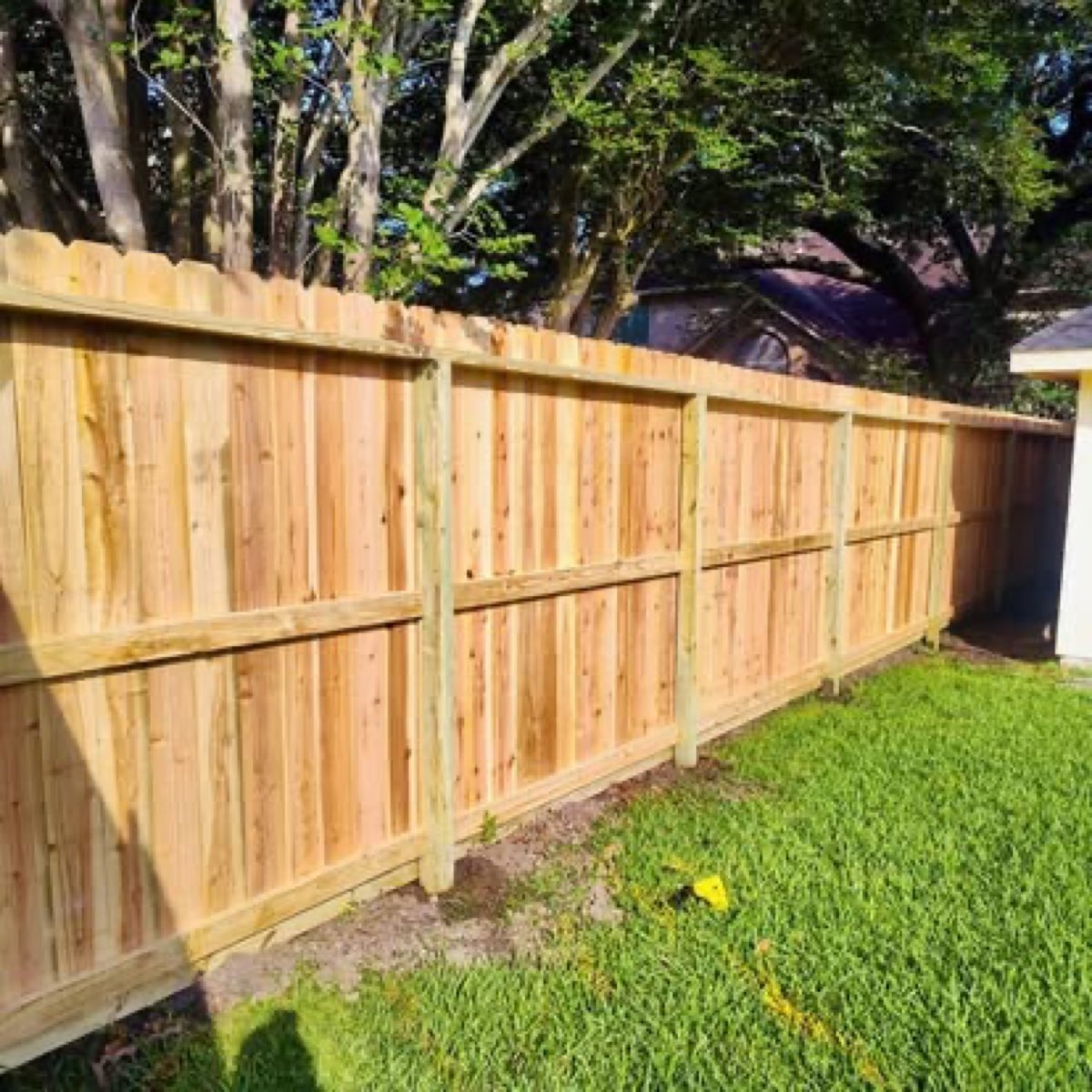 Cedar privacy fence along a green yard